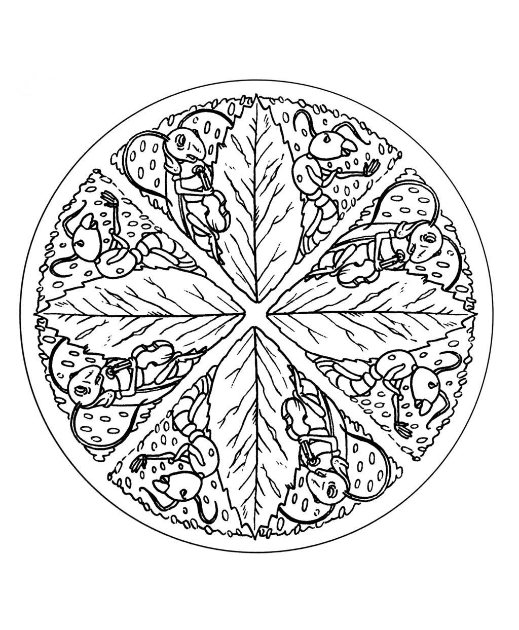 Coloriage Free Mandala To Color Leaves - Mandala à imprimer